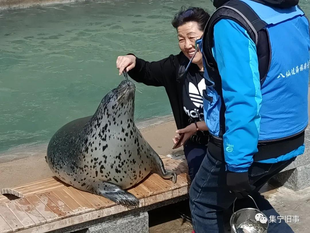 青岛旅行团跟团游四天三晚,青岛去北京两日游