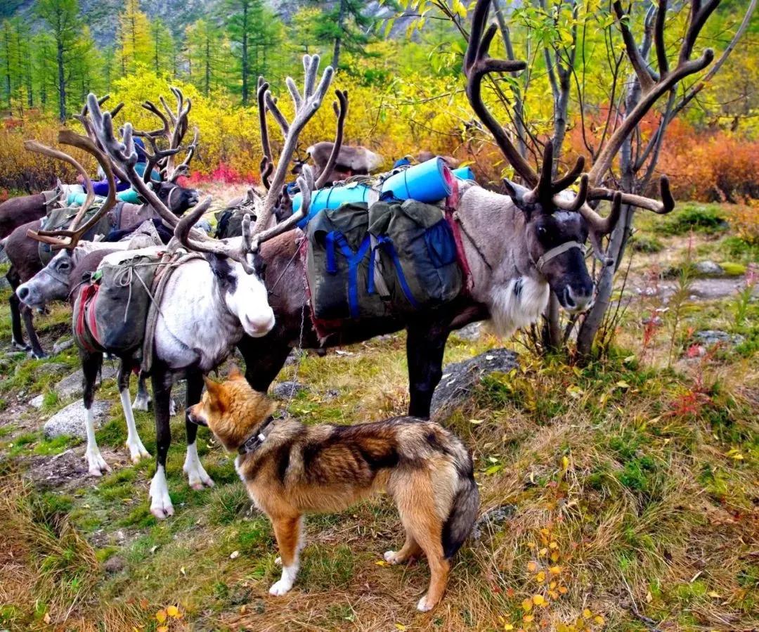 亲子成长夏令营,亲子夏令营招募江苏