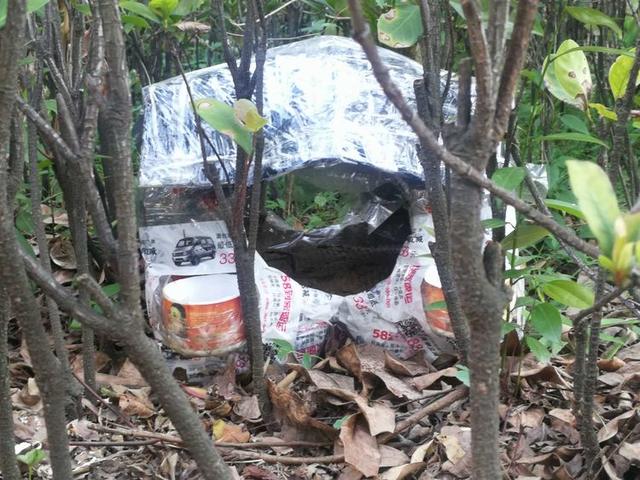 暨大华文学院港澳班,暨大华文校区