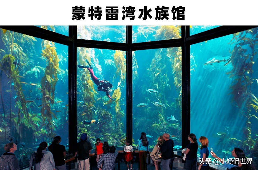 全球最大的三个大型水族馆,世界最著名的淡水水族馆