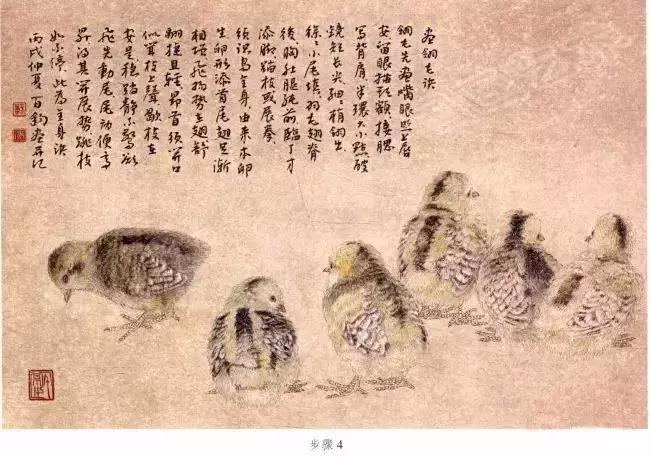 苏百钧工笔国画教学视频,苏百钧花鸟白描画稿