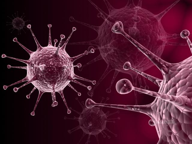 高危后怀疑自己得艾滋病该怎么办,高危后怀疑有艾滋病