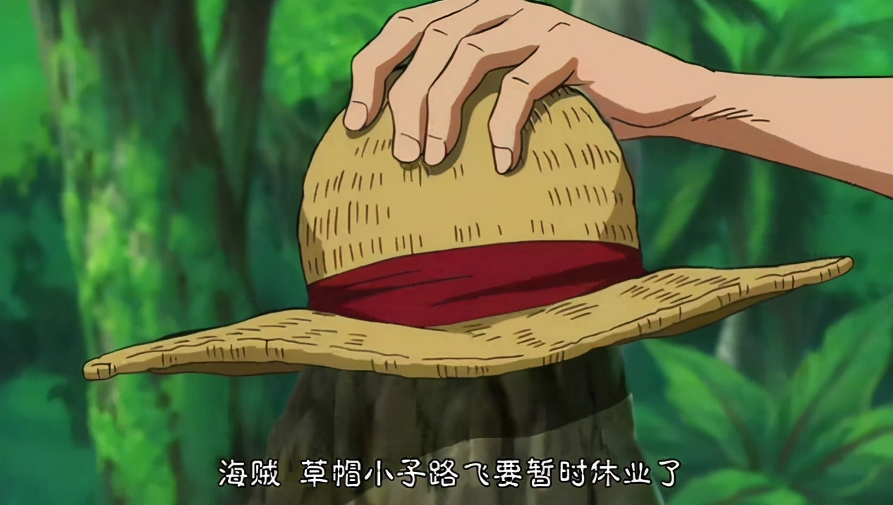 海贼王草帽的寓意是什么,海贼王中草帽代表什么