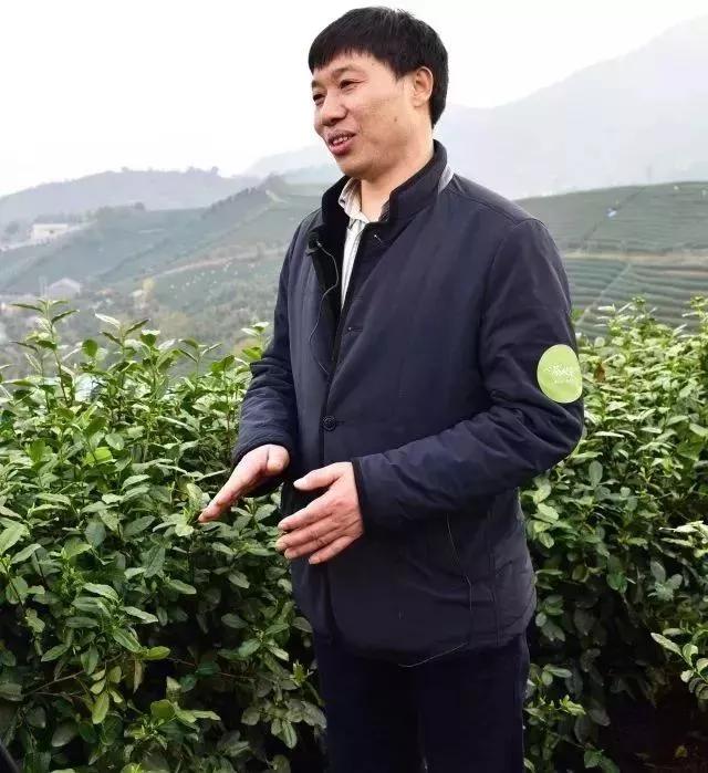 一年只有一次的鲜货,一年只有一次的桂花酿