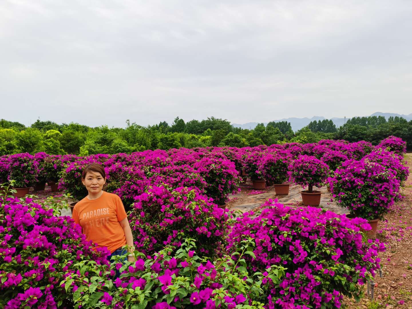 徒步终南山南五台,秦岭终南山南五台