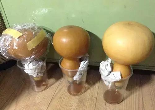 大漆酒葫芦详细制作过程,酒葫芦防渗处理视频