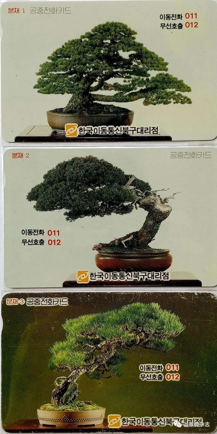 鐩嗘櫙鑱旂郴鐢佃瘽,鐩嗘櫙鑱旂郴鐢佃瘽鍙风爜