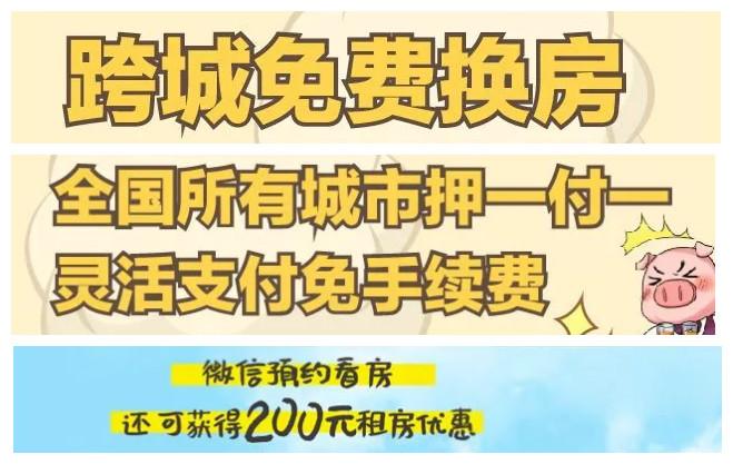 中山长租公寓有前景吗 (中山长租公寓入住率)