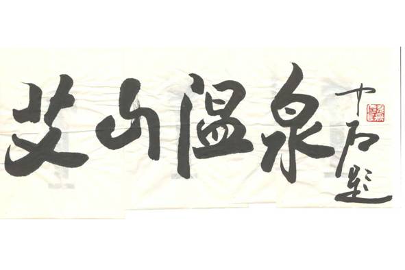 艾山温泉10张联票,艾山温泉成人票