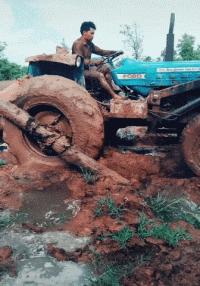 搞笑gif惊讶原来渣猫长这个样子,搞笑gif段子最后这只猫也太萌了吧