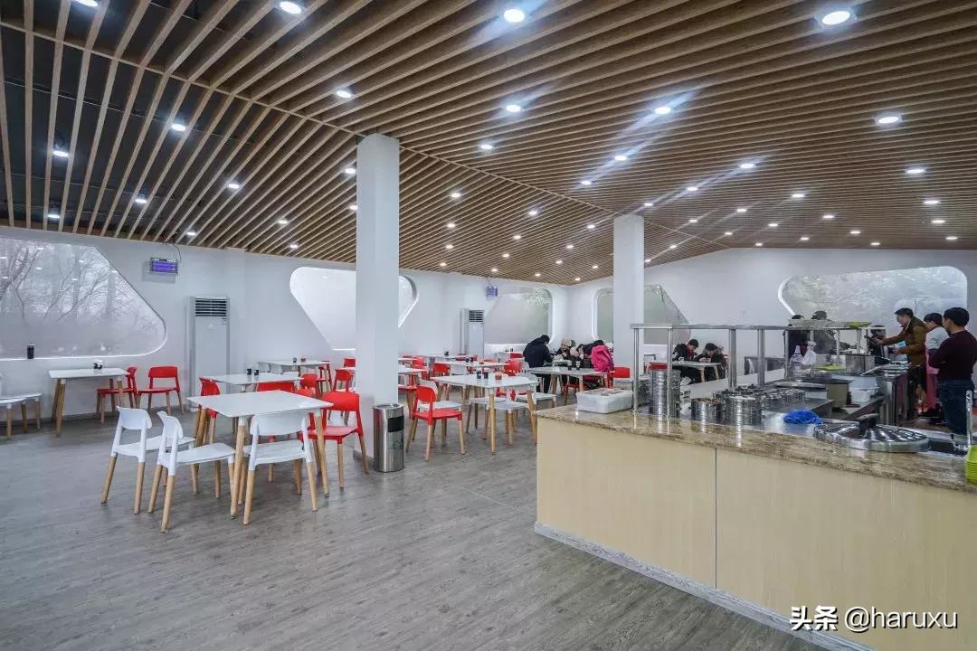 南方也能下雪吗,南方也能见到雪