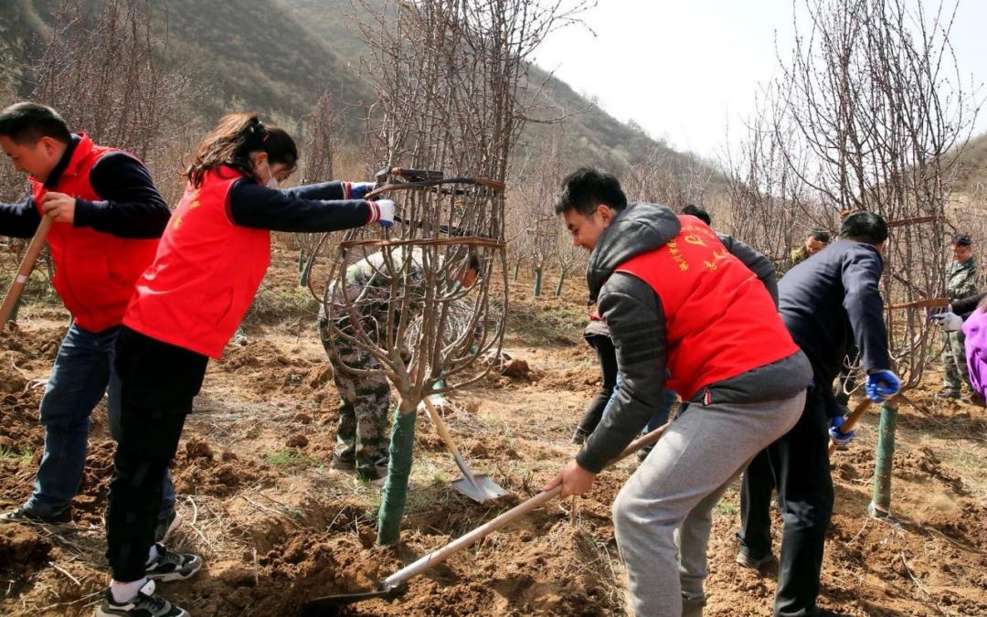 中宣部鲁骥,柳林村鲁骥