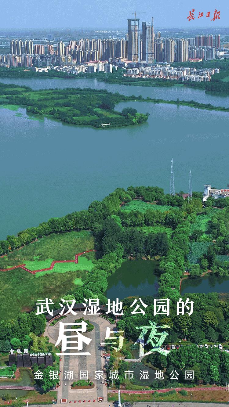 湖北武汉藏龙岛湿地公园,武汉藏龙岛湿地公园