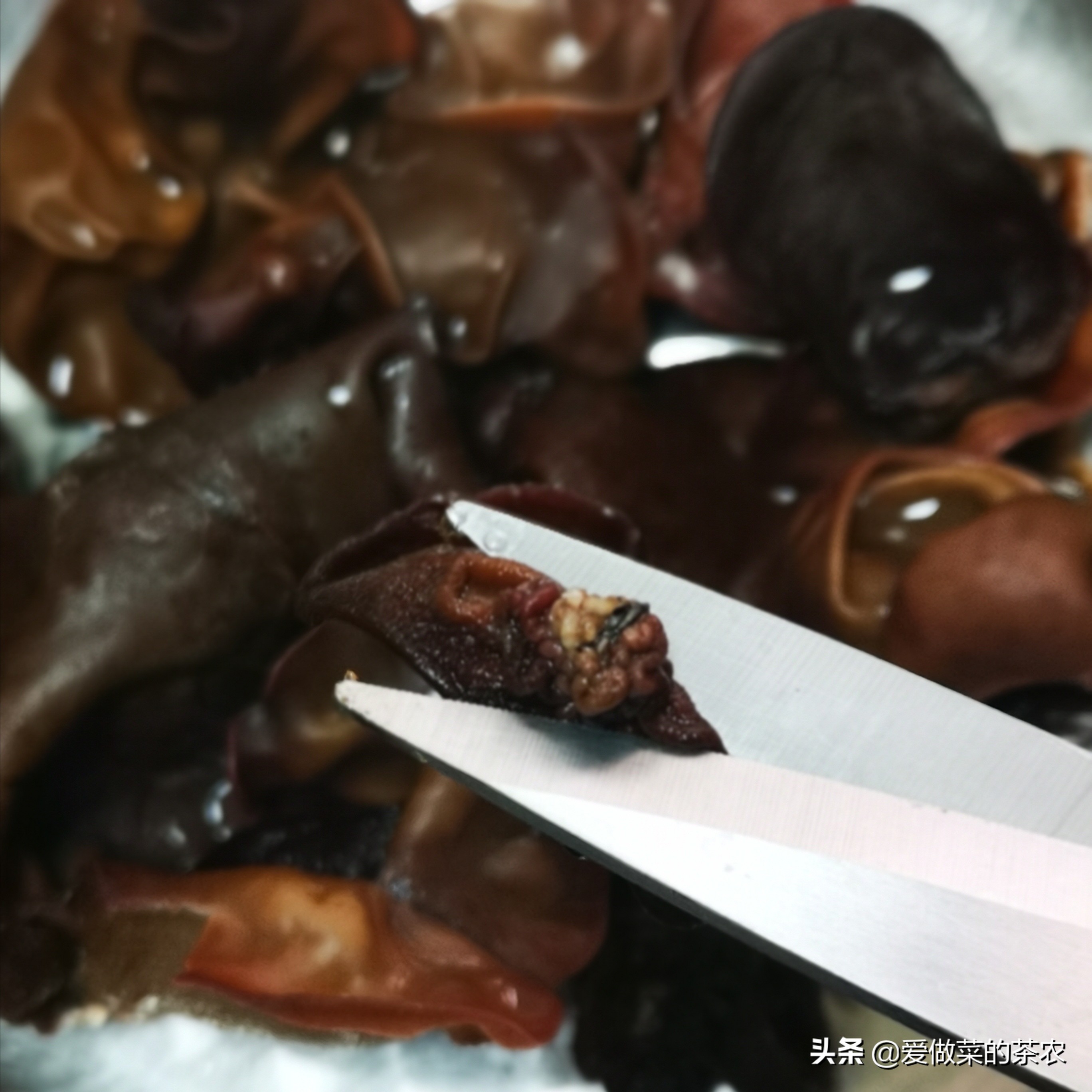 怎么腌鸡肉炒出来又嫩又好吃,怎样腌制鸡肉爽滑不柴好吃又简单