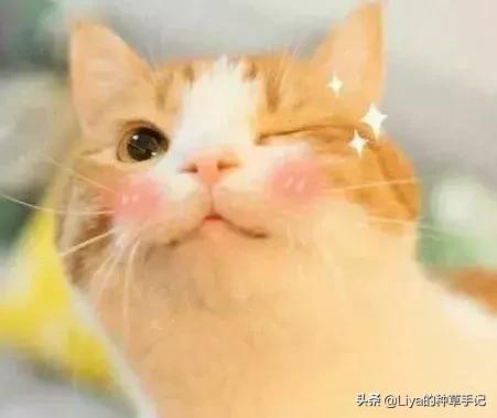 绐佽缈诲寘瑙嗛,绐佽缈诲寘