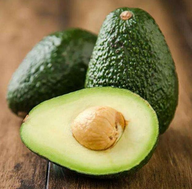 养狗必备大全,养狗宝典10天养成狗狗好习惯