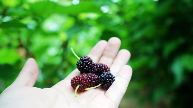 中国最低调小城市,中国最低调小镇