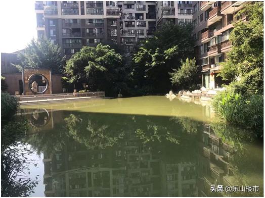 乐山住宅景观,乐山小区景观造雾