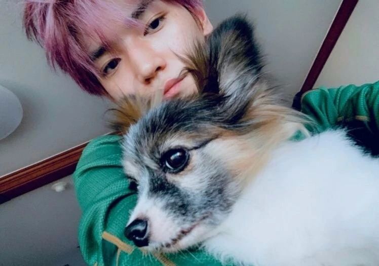 superm洛杉矶,superm欧洲巡演