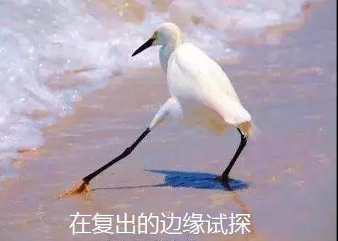 范冰冰该不该重回娱乐圈,娱乐圈混不上去就去拍戏