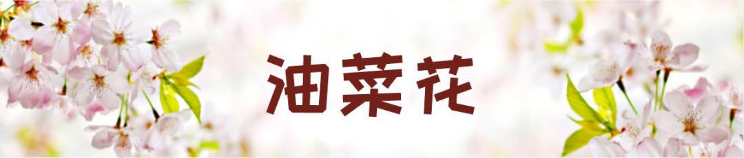 在云南，做一个“花吃”，挺好