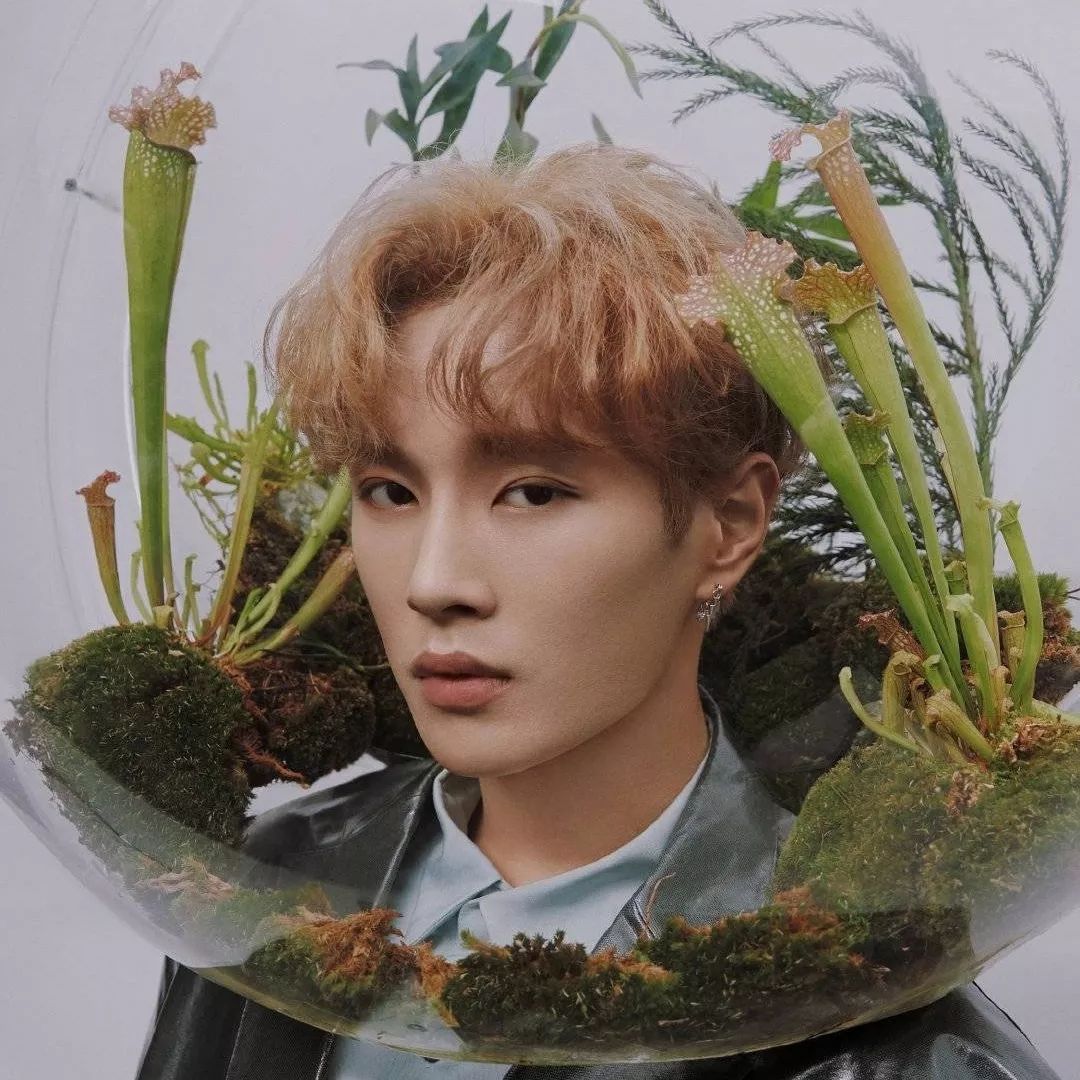 2022最帅的十种男士发型,怎么弄发型更帅一些更阳光一些