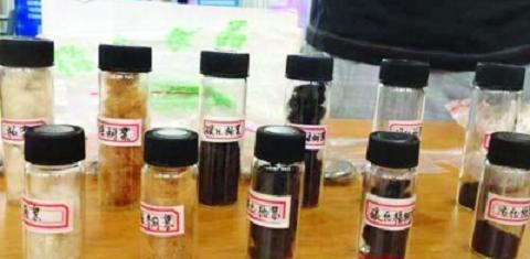 为了替你出气,我们给讨厌的杨柳絮来个“以暴制暴”