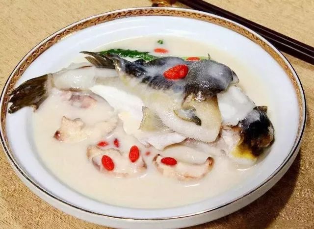 九峰源丨千年神农架，情系女儿城