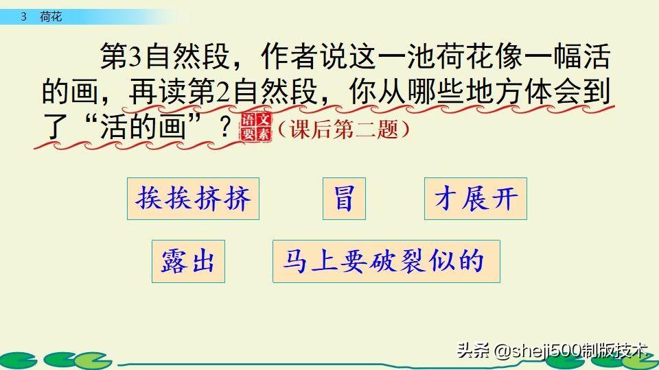 部编版三年级下册语文3荷花讲解,三年级下册部编语文荷花教学视频