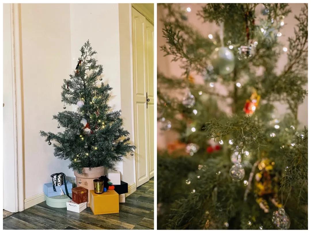 只要小几百就能买到Acne平替，高逼格小*香众**薰和王一博同款