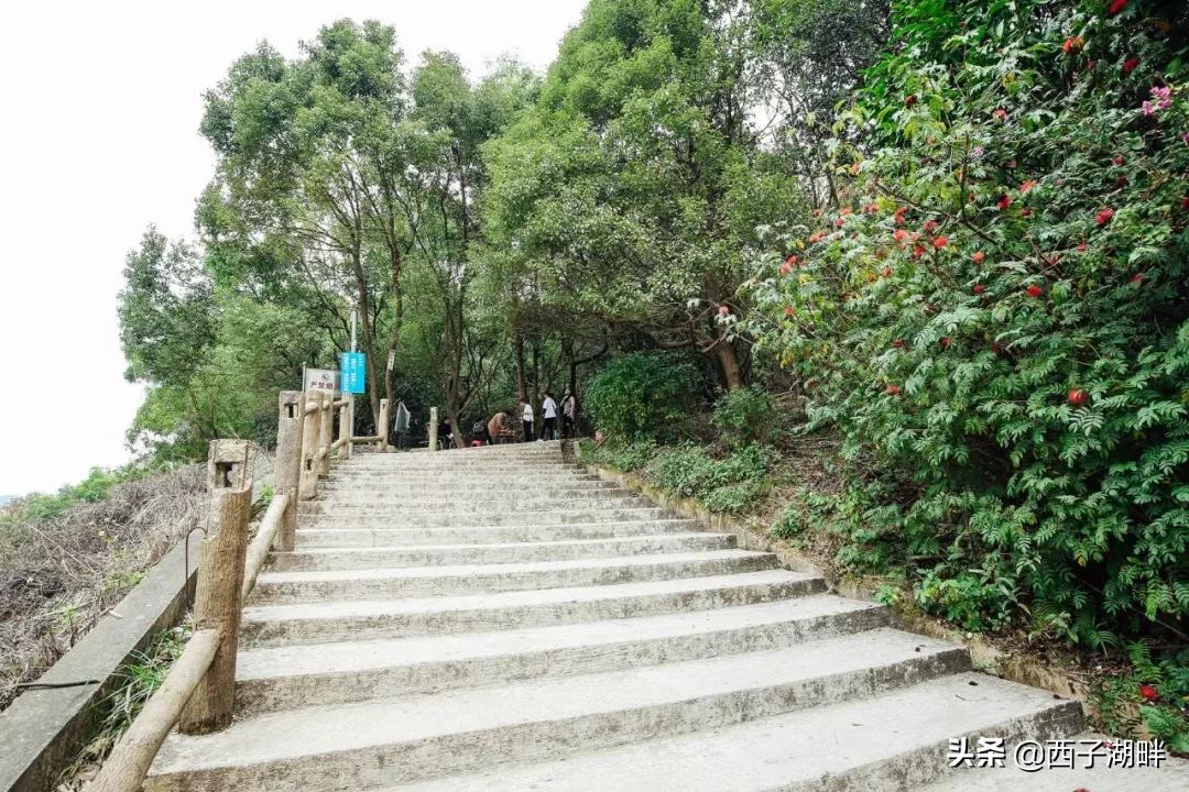 惠州淡水和台湾淡水,千山万水不如惠州淡水什么意思