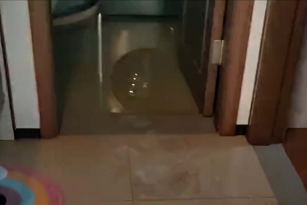 中海的房子出现质量问题,中海的房子为什么质量差