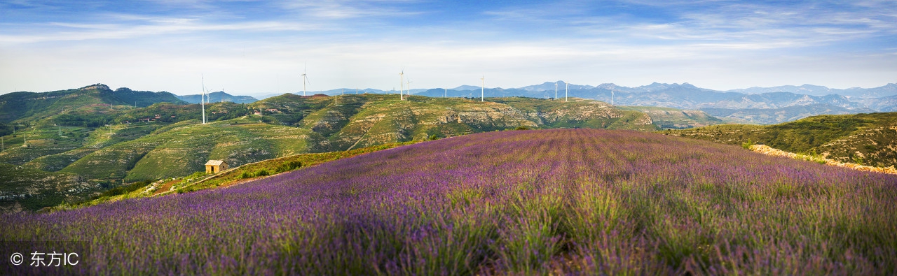 唐诗三百首译文与解析,为你读诗唐诗三百首