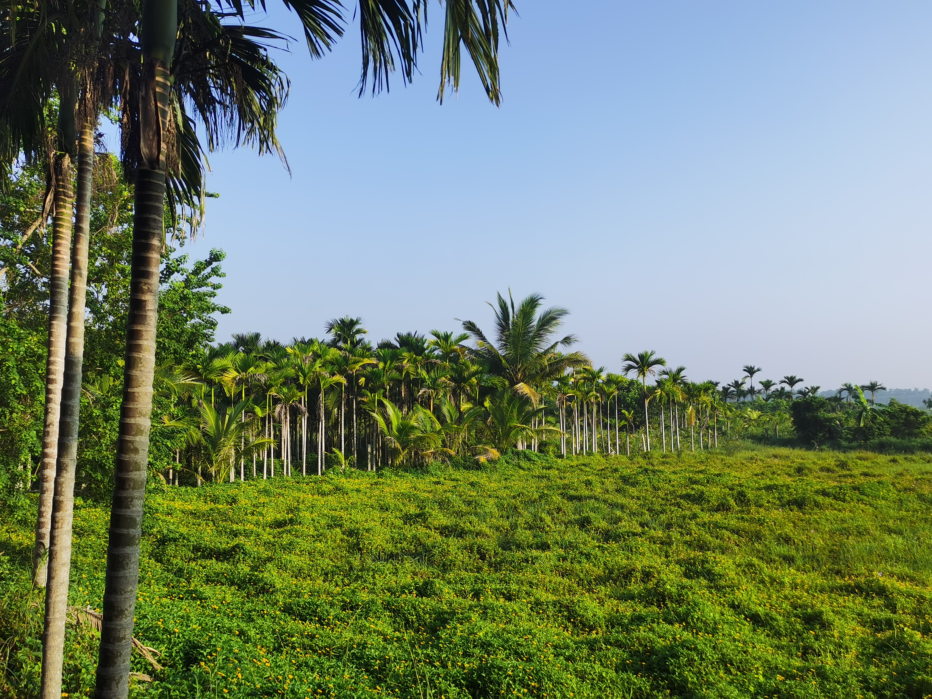 鍗氶硨璁哄潧姘镐箙浼氬潃涓囨硥娌冲叆娴峰彛,涓囨硥娌冲叆娴峰彛