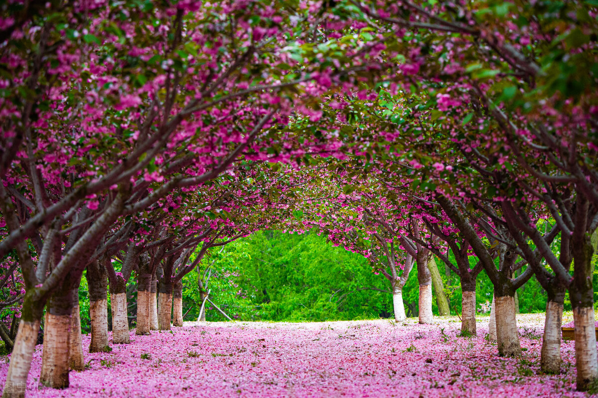 这座海滨小城的特点是什么,适合养老的海滨小镇