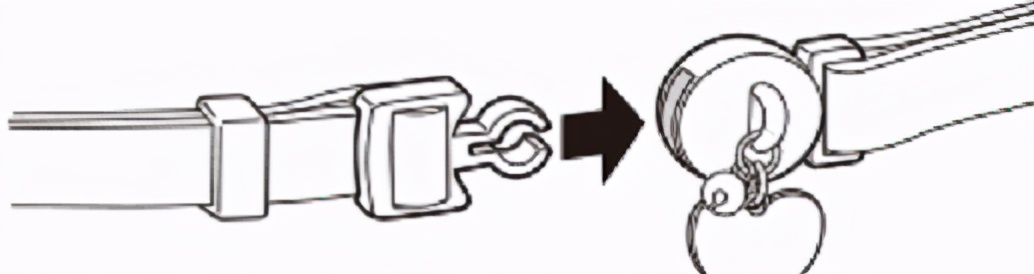 农村猫丢了找猫的窍门,在农村养的猫猫丢了怎么办