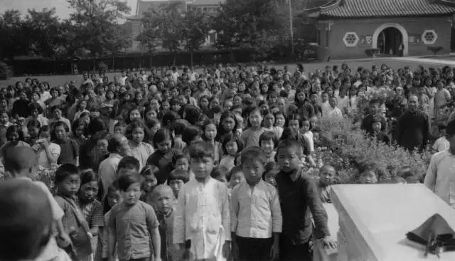 第64号病历，可能是最猛的系列悬疑片