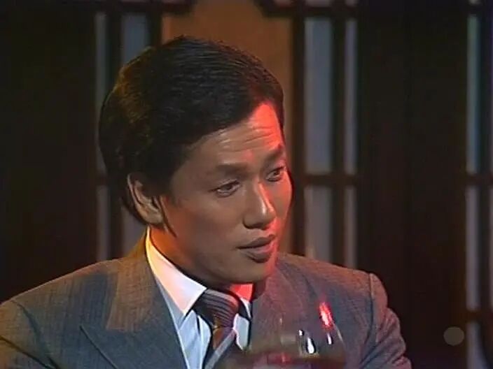 100部经典万水千山总是情港剧,重温经典万水千山总是情电视剧