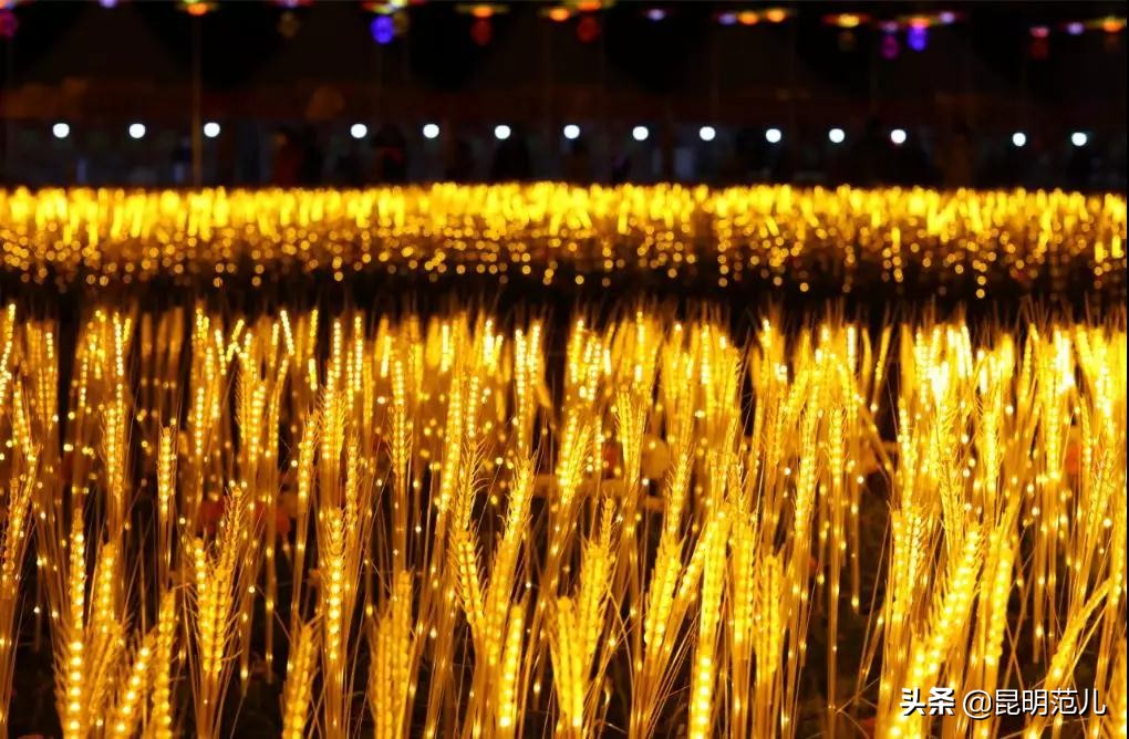 闹元宵吃汤圆约灯会猜灯谜,元宵吃汤圆看灯展猜灯谜视频