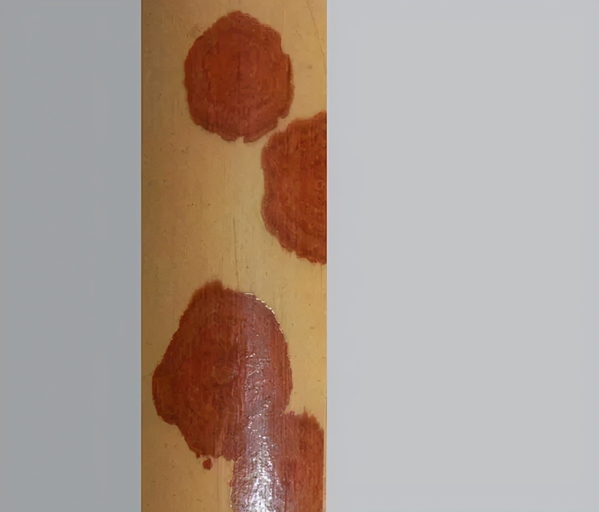 湘妃竹为什么贵,湘妃竹由来