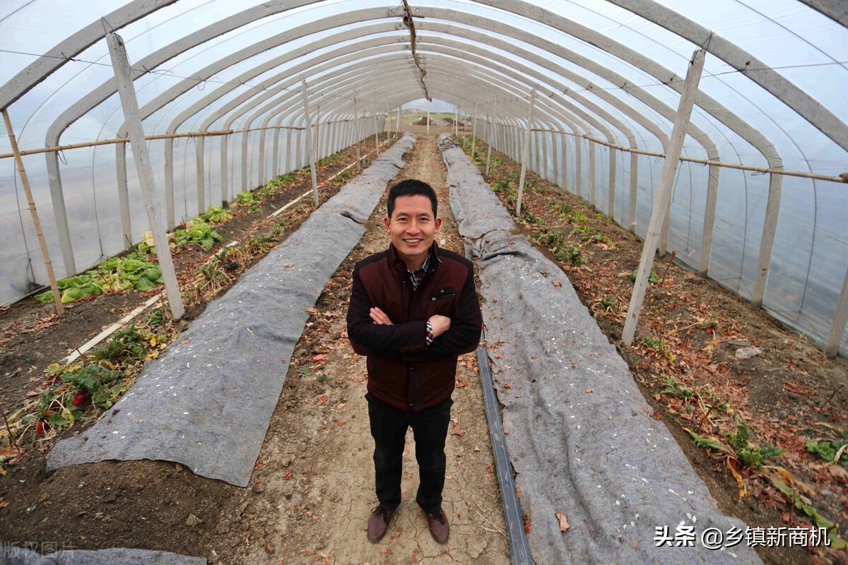 适合农村创业小项目有哪些,适合农村创业的小项目有哪些啊