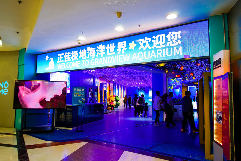 海洋极地海洋世界攻略,正佳极地海洋世界白鲸海象