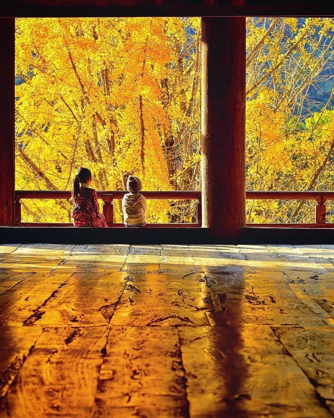 日本老爹把孩子拍成宫崎骏动画,日本爸爸把男孩子拍出宫崎骏