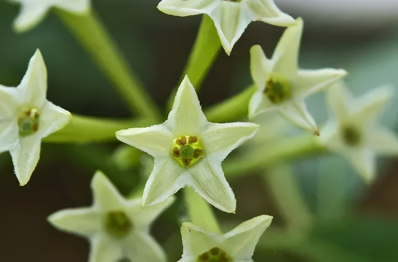 秒杀夏季防蚊折叠蚊帐,日本驱蚊隐形蚊帐