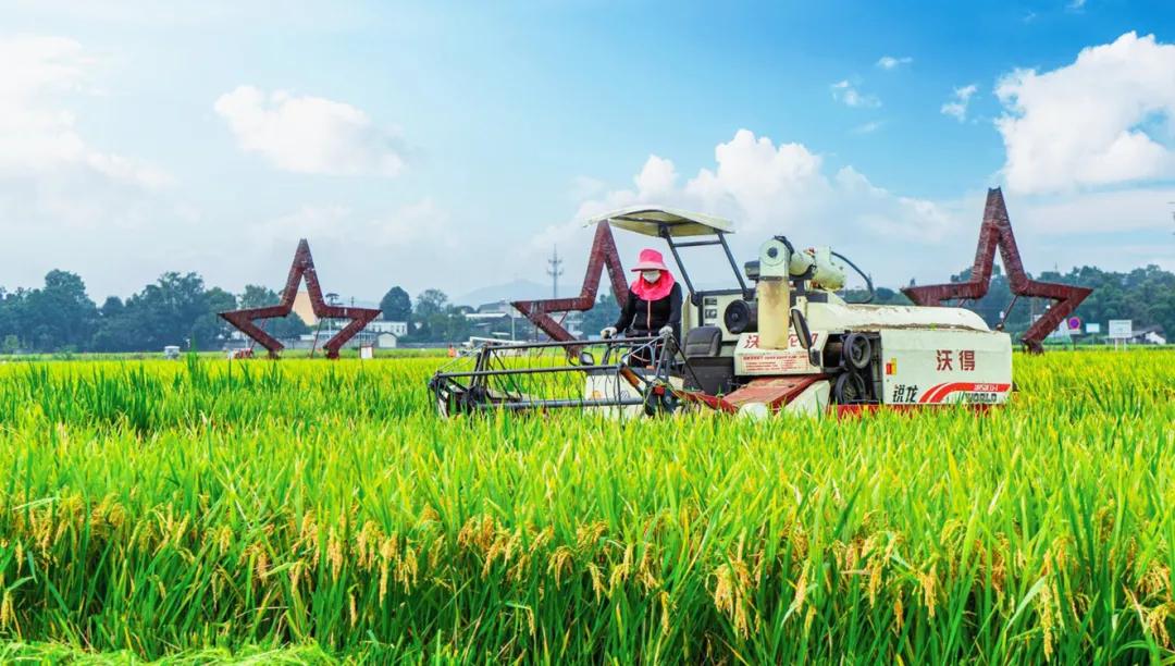 从贫困村到美丽乡村的华丽转身,崇州五星村国家示范乡村