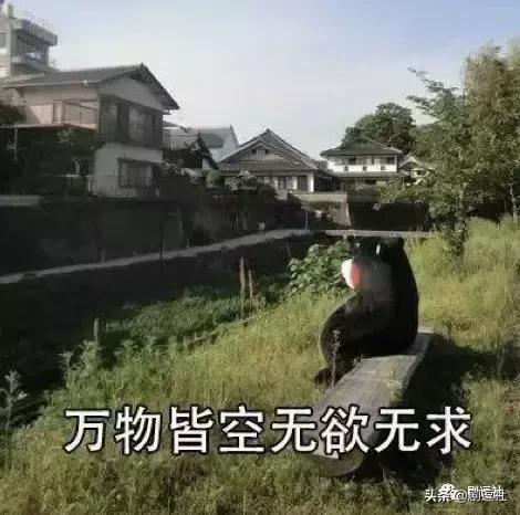 追别的选秀要钱追以团要命，现在退赛去隔壁创二踢馆还来得及吗？