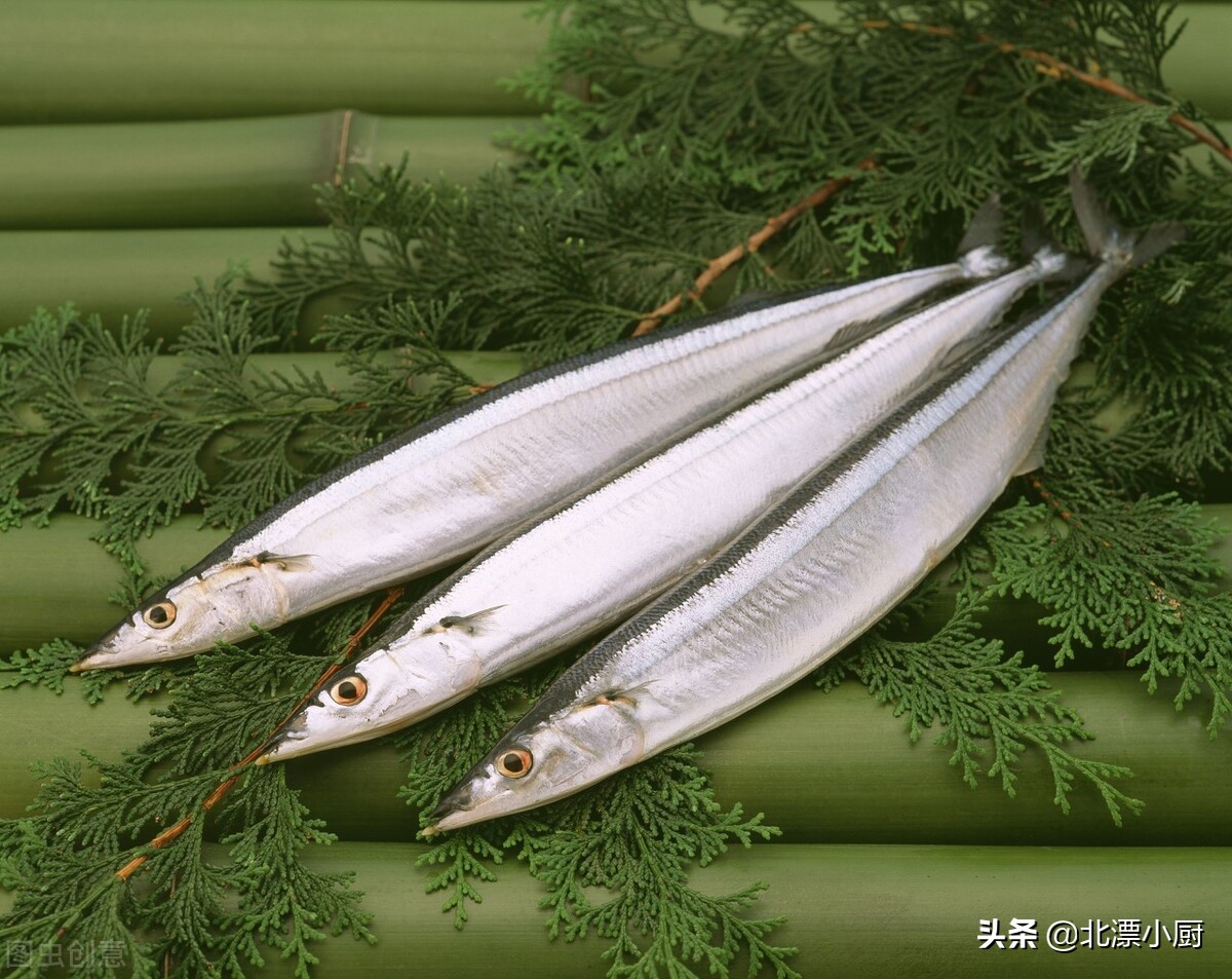 哪些海鱼是纯野生的人工饲养不了,人工养殖海鱼和野生海鱼