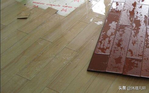 木地板受潮了有虫子,木地板受潮会长虫吗