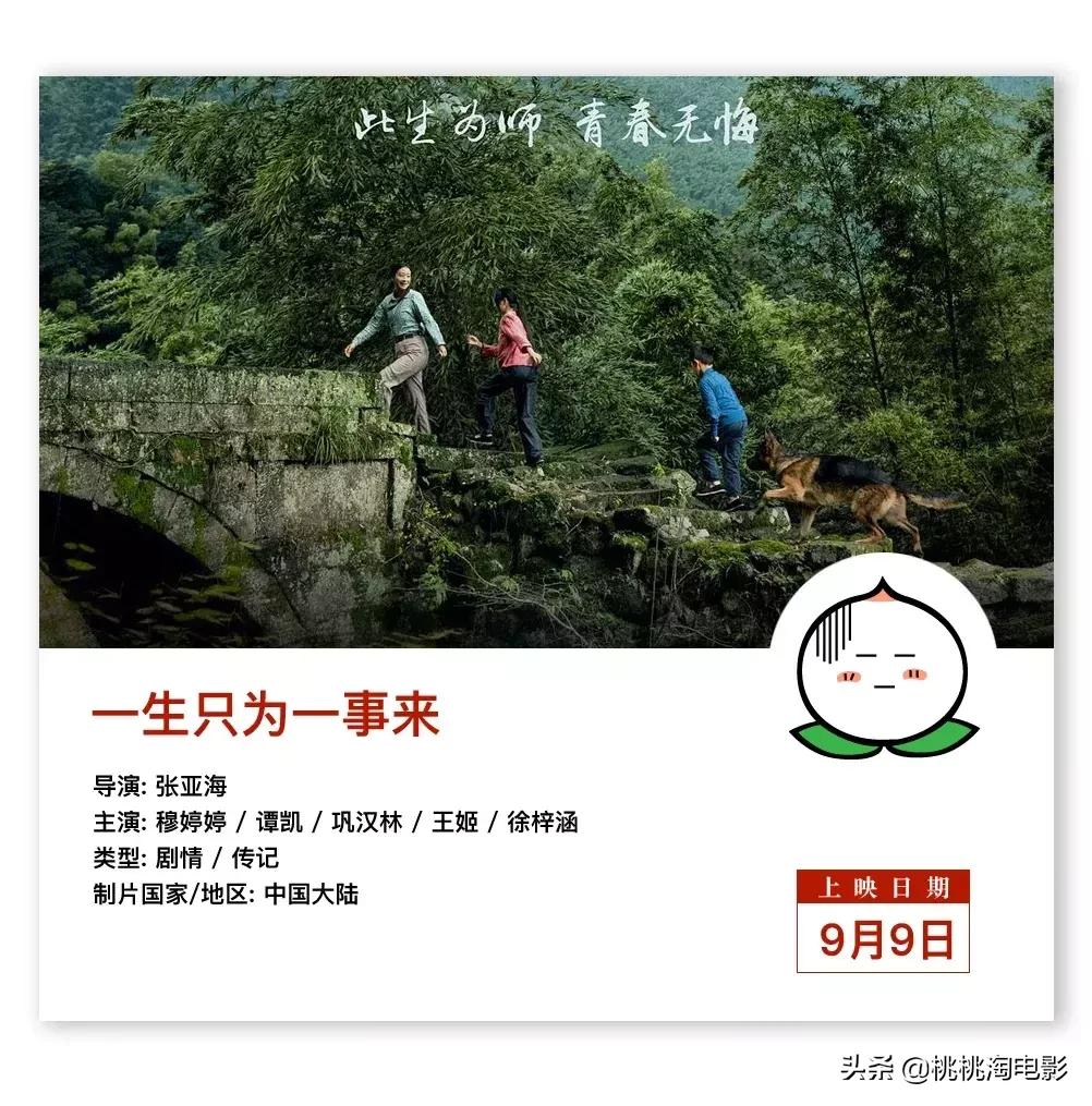 名侦探柯南开年篇合集,诛仙与小小的愿望