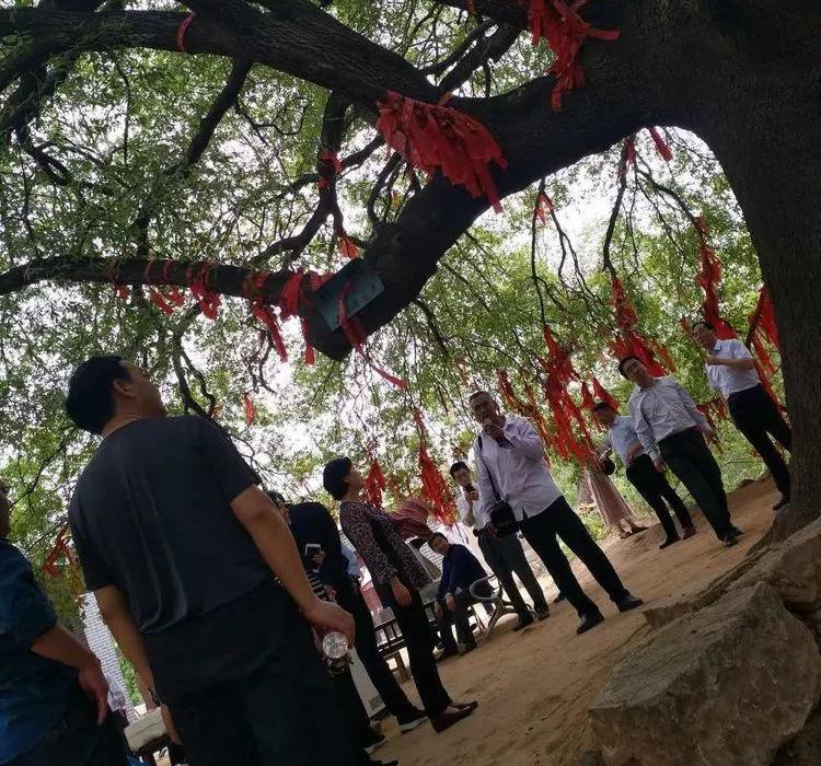 许昌八里沟跟团一日游,许昌五一八里沟一日游